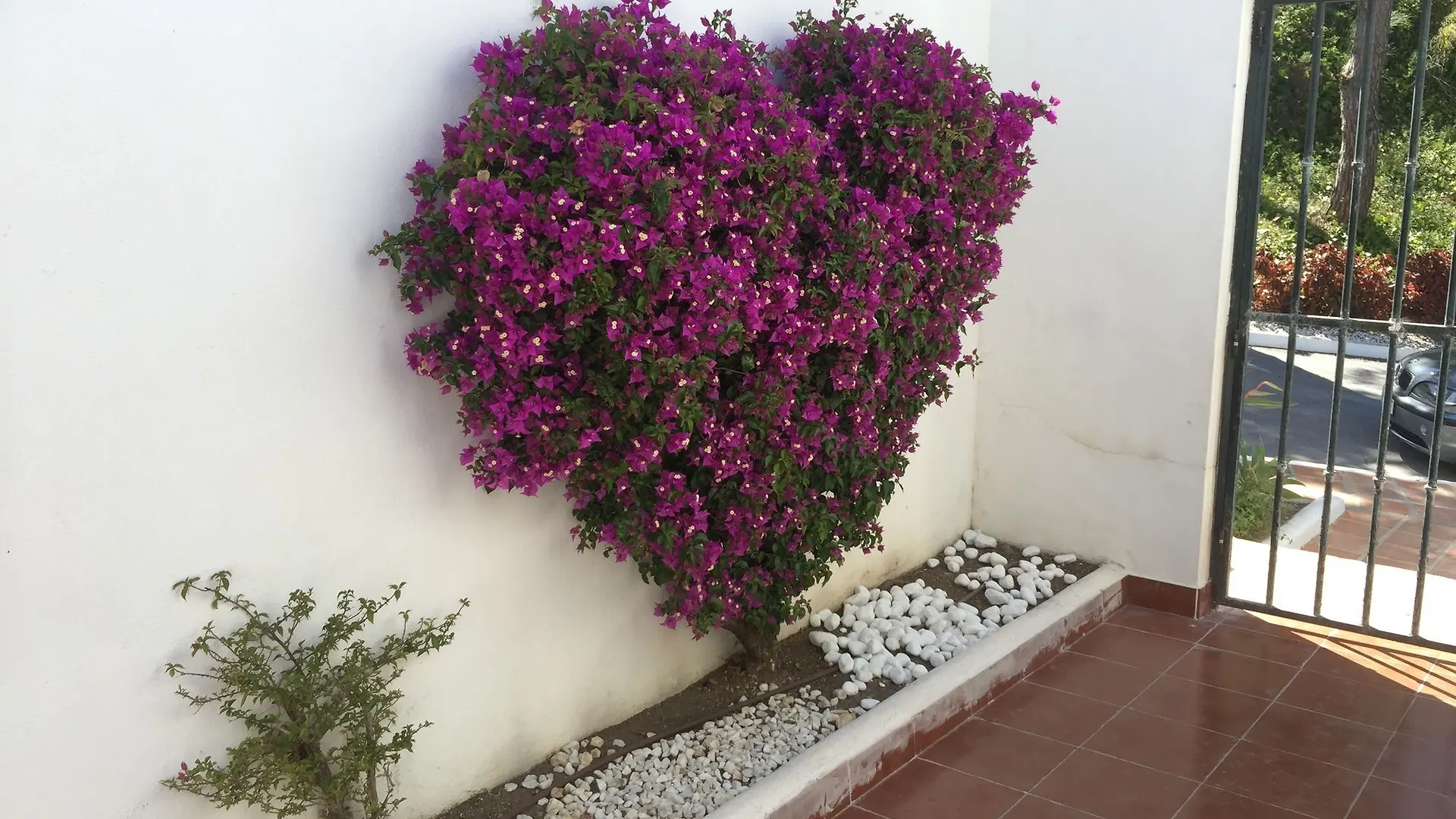 Amazing Front Line Golf Detached Villa Marbella 0*,